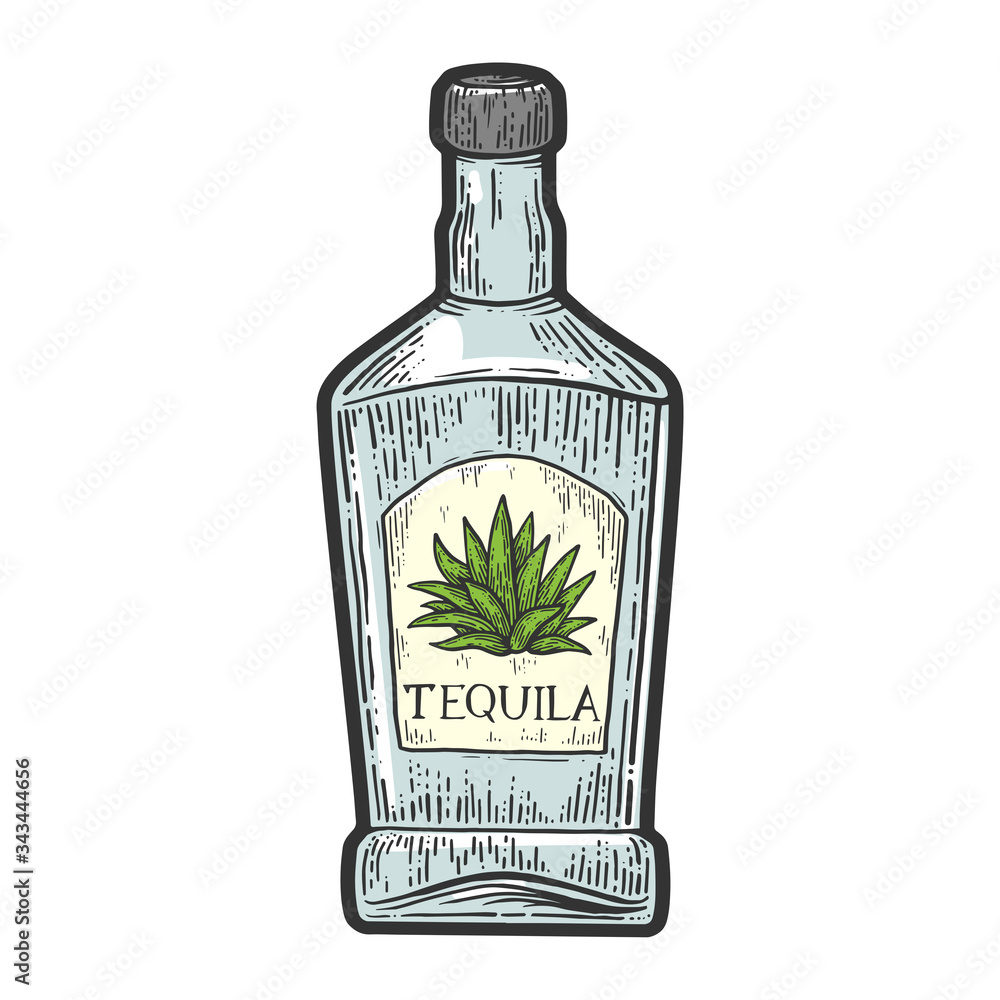 Tequila bottle mexican alcohol color sketch engraving vector illustration.  T-shirt apparel print design. Scratch board imitation. Black and white hand  drawn image. Stock Vector | Adobe Stock