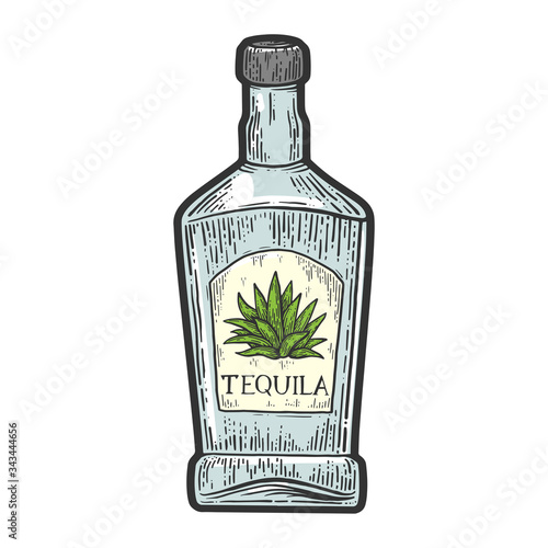 Tequila bottle mexican alcohol color sketch engraving vector illustration. T-shirt apparel print design. Scratch board imitation. Black and white hand drawn image.