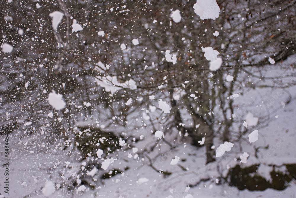 Obraz premium dense snowflakes falling in the forest