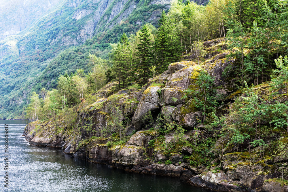 landscape with forest and fjord in Norway