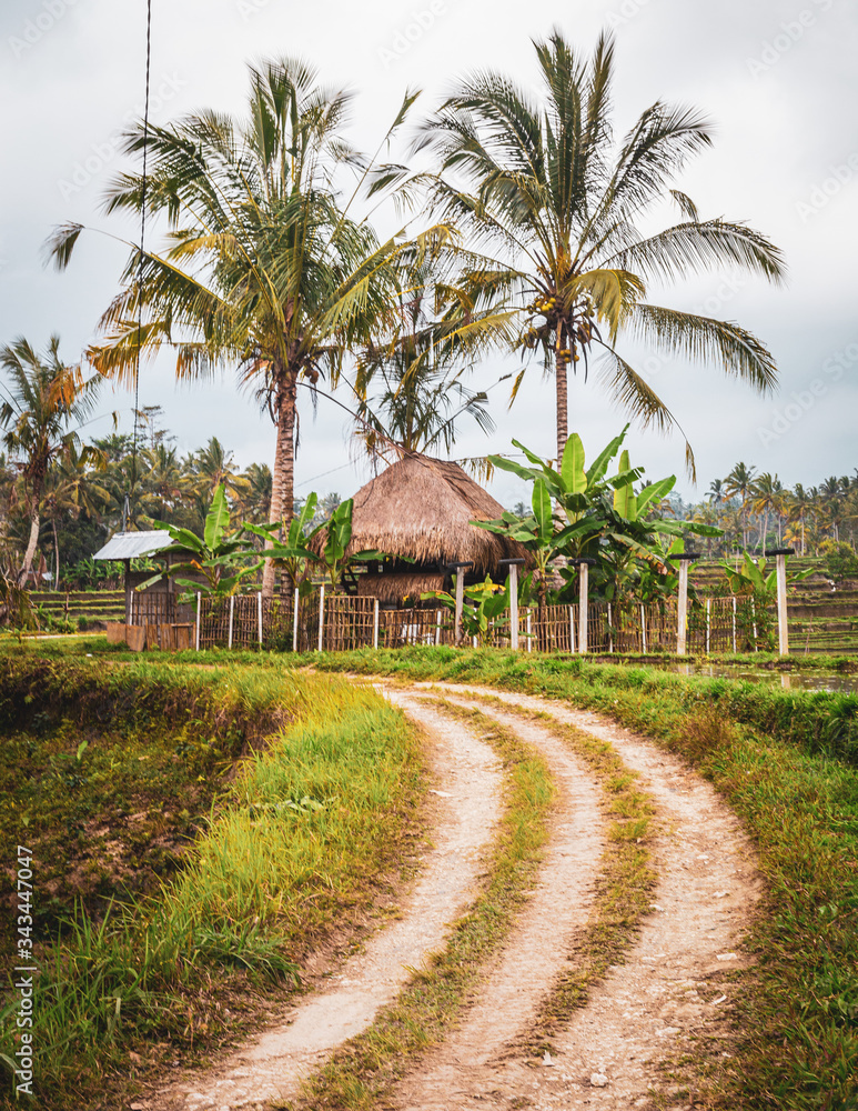 Obraz premium Indonesia 2019