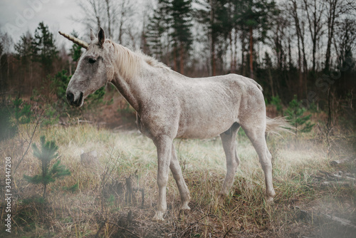  the unicorn © Кристина Кукина