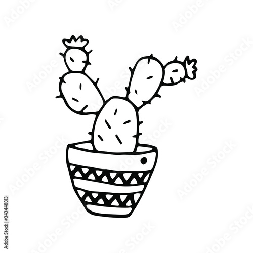 Flowering cactus in flowerpot . Cute hand drawn home plant on white background. Doodle vector illustration for design, greeting card, print, wedding. 