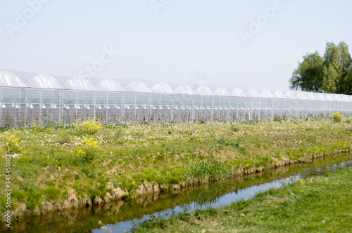Exterior of a greenhouse made of transparent plastic with grass and flowers in the foreground