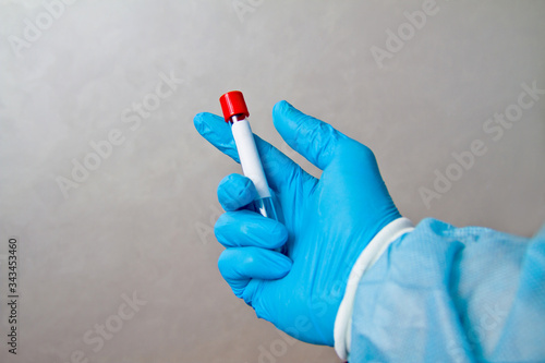 Hand in blue medical disposable rubber gloves holding a tube with a tuffer for analysis on a gray background. photo