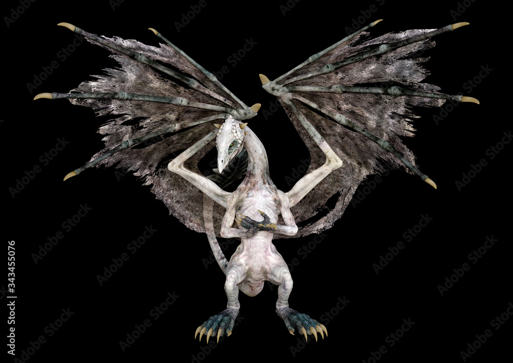 Fototapeta premium 3D Rendering Fairy Tale Dragon on Black