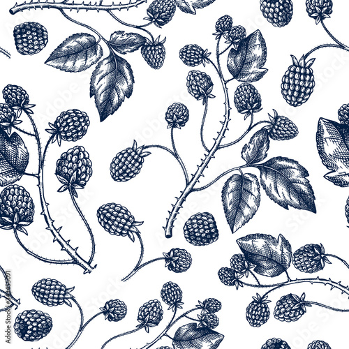 Hand drawn blackberries vector  backdrop in engraved style. Wild berries seamless pattern. Hand drawing. Vintage forest berry sketch. Blackberries plant background. 