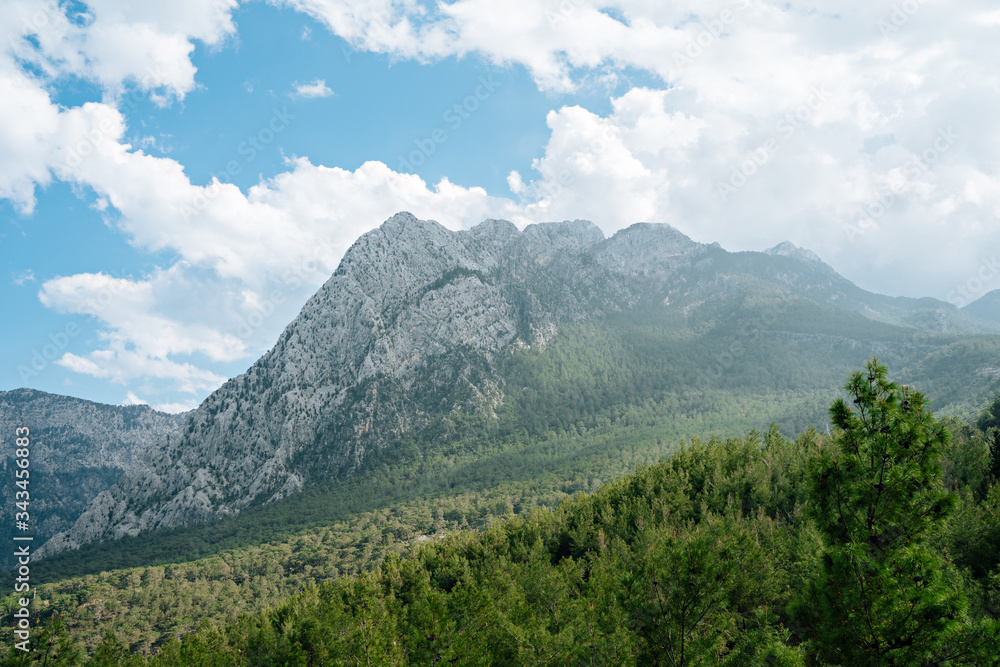  mountains with forest and blue sky and white clouds