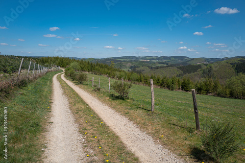 Wanderweg im Sauerland