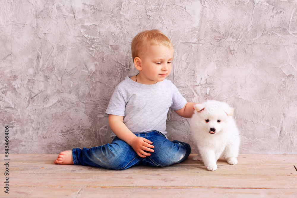 Cute little baby boy playing with little white puppy Cute little baby boy playing with little white puppy