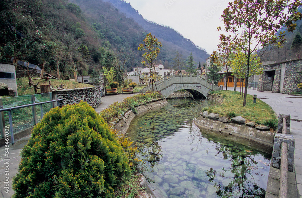 GIANT PANDA RESEARCH CENTER WOLONG