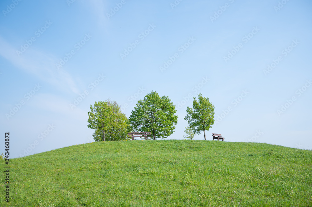 hill overgrown with green meadow with three trees and a park bench in summer hill overgrown with green meadow with three trees and a park bench in summer