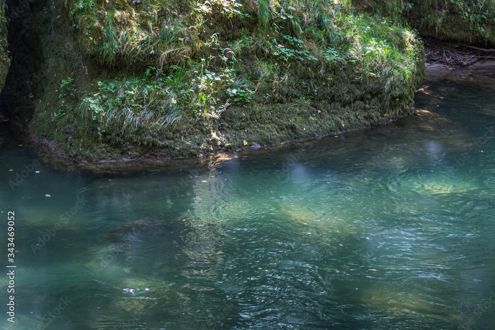 Naklejka premium czysta zimna woda w strumieniu