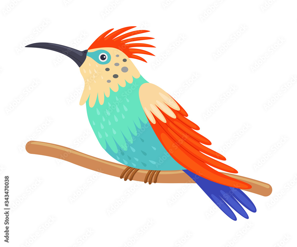Obraz premium Colorful Tropical Hummingbird, Beautiful Bird with Bright Plumage Vector Illustration