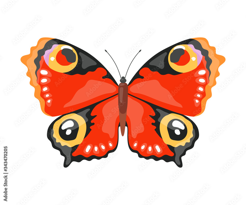 Fototapeta premium Monarch Tropical Butterfly, Beautiful Colorful Flying Insect Decorative Element Vector Illustration