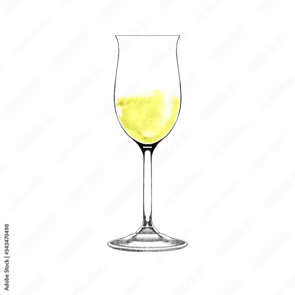 Glass of champagne. Realistic illustration of champagne. Glass of white wine isolated on white. Hand drawn wineglass with  alcohol beverage. Design element for bar and restaurant menu, recipes, flyers