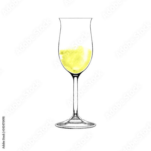 Glass of champagne. Realistic illustration of champagne. Glass of white wine isolated on white. Hand drawn wineglass with  alcohol beverage. Design element for bar and restaurant menu, recipes, flyers