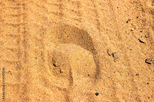 Zebra hoof print in sand, South Africa