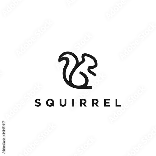 squirrel logo icon vector designs