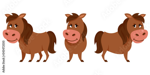 Horse in different poses. Farm animal in cartoon style.