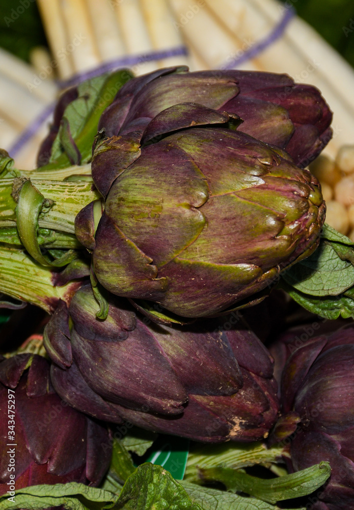 Obraz premium Green and red artichoke.