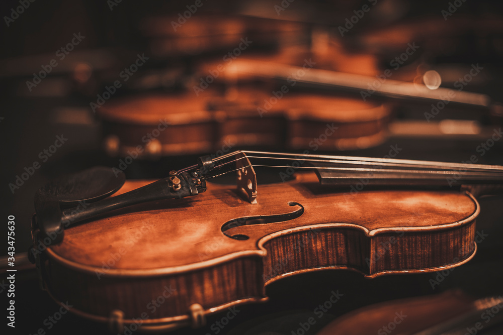 Fototapeta premium Composition consisting of a violin - Background - Wallpaper
