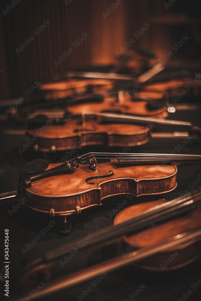 Fototapeta premium Composition consisting of a violin - Background - Wallpaper