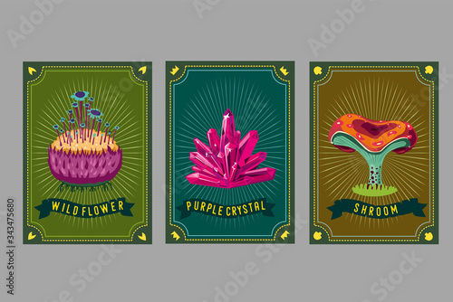 Card game collection. Fantasy ui kit with magic items. User interface design elements with decorative frame. Cartoon vector illustration. Mushroom, crystal and plant.
