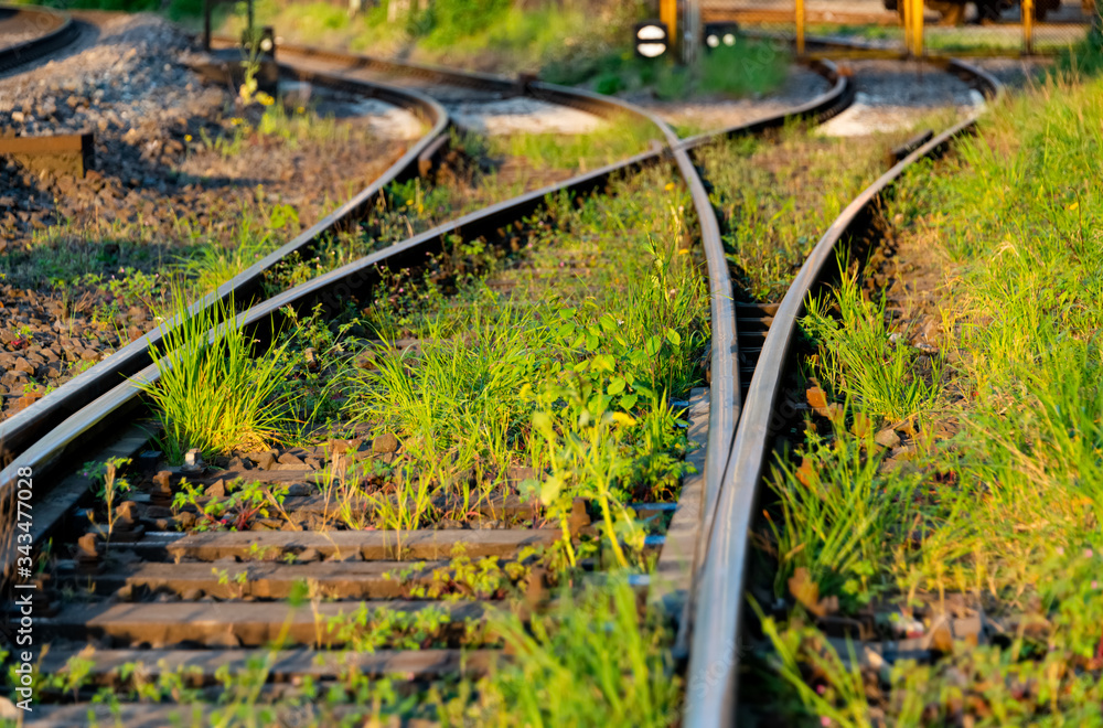 Obraz premium Schienen Unkraut Eisenbahn Gleise Weiche Strecke Infrastruktur Gleisanschluss Fabrik Werk Rangieren Hagen Hohenlimburg Ruhr-Sieg-Strecke Sauerland Abend Stimmung Symbol Vegetation überwuchert Verfall