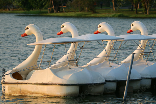 Group of Empty Swan Pedal Boats Floating on the Lake in a Park photo