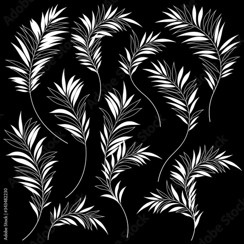 Beautiful tropical plant background illustration material,