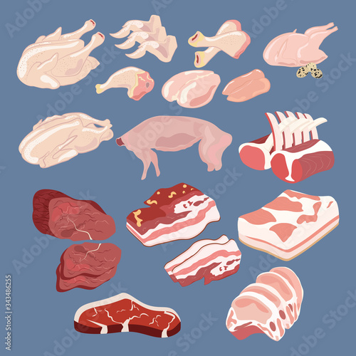 Different sort of meat organic food vector illustration