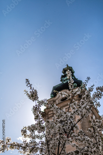 the tower of the old castle with flowering tree
