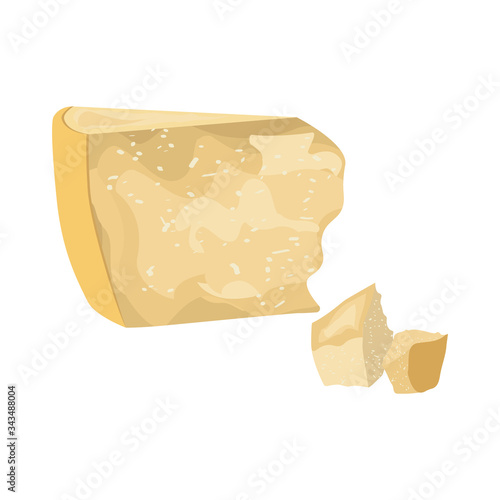 Parmesan cheese fresh organic dairy product vector illustration