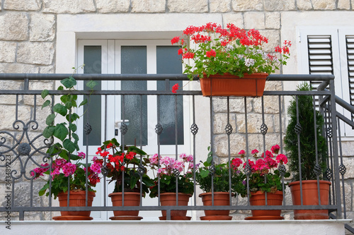 Pots with bushes of blooming plants on balcony. Landscape design. Geranium and other decorative flowers. Bushes with red and purple flowers in pots. © Ga_Na