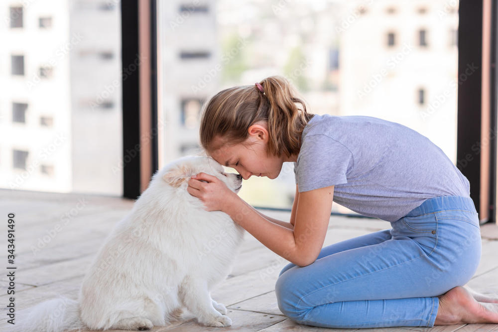 Cute teenage girl training her spitz dog at home Cute teenage girl training her spitz dog at home