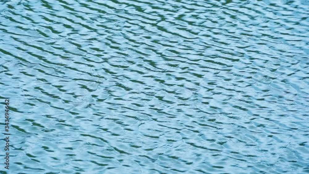 Blue water reflection With daylight during the day.soft focus.
Blue water reflection With daylight during the day.soft focus.