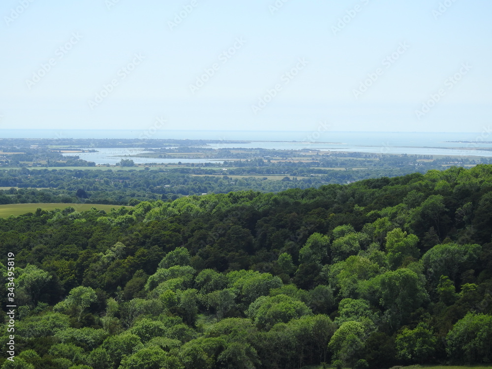 Panorama w bliskości miasta Chichester w Anglii