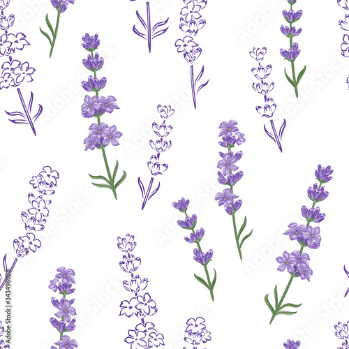 Lavender seamless pattern. Floral background. Beautiful lavender flowers on white background. Vector color illustration in cartoon flat style and outline.