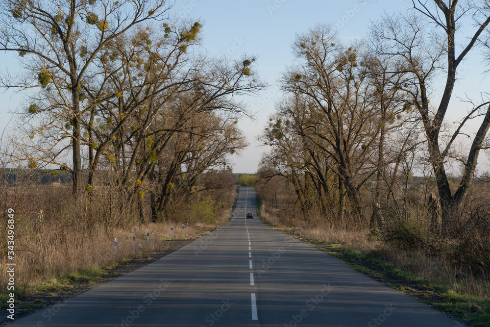 Fototapeta premium emptry roar, car drives on the emptry road