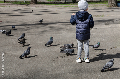 Little boy feeds pigeons on the street.