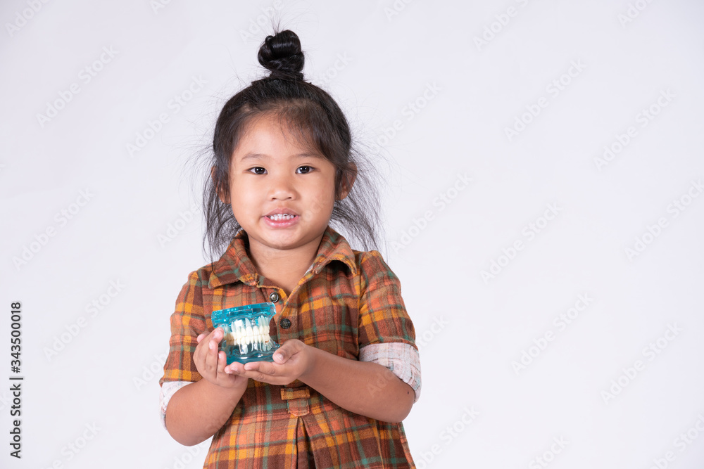 Little girl holding teeth model object on white background Little girl holding teeth model object on white background