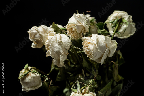 A close up of wilted roses