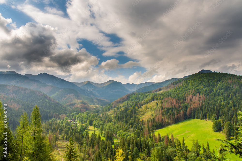 Mountains covered with green forests. Polish Tatras