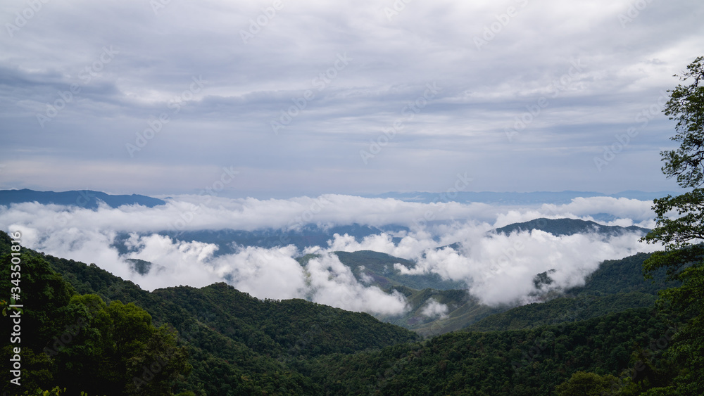 Misty foggy mountain landscape with forest and copyspace.Beautiful clouds. Misty foggy mountain landscape with forest and copyspace.Beautiful clouds.