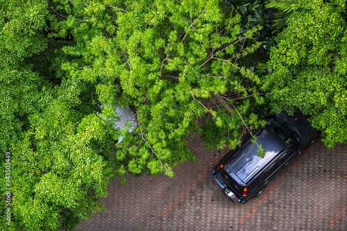 The blurry background of cars parked around buildings or parks surrounded by large trees, stopover