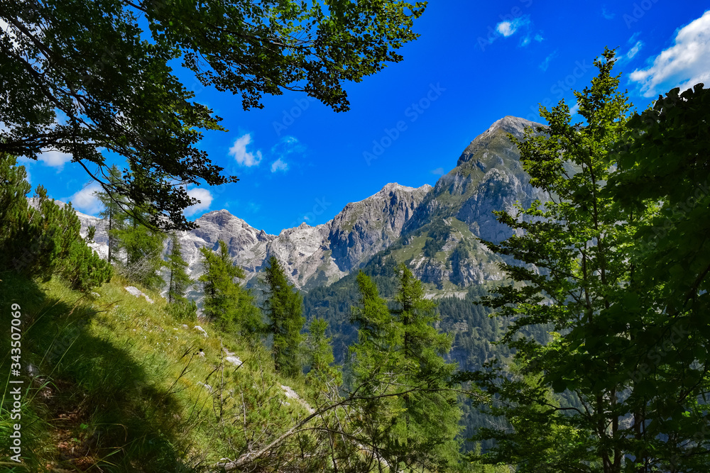 Hiking at the Trentino Mountains in the Adamello Brenta Park, forest view
