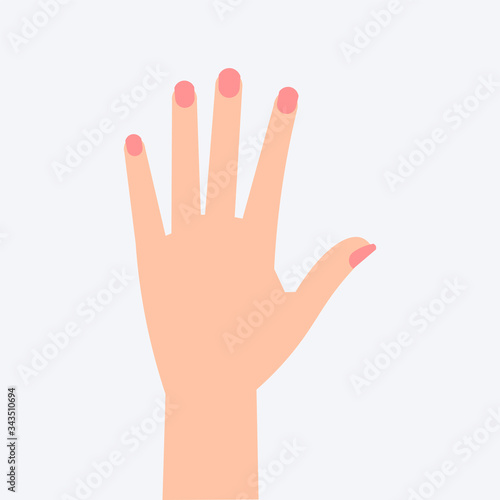 Female hands with manicure. Woman hands. Vector illustration. 