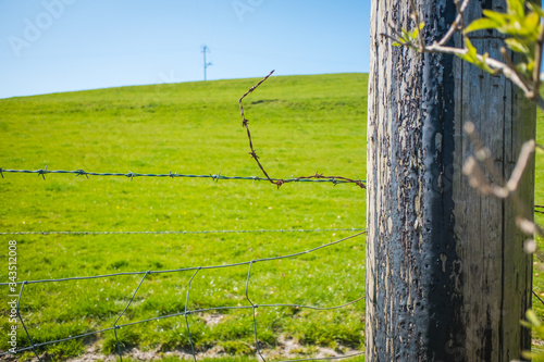 wooden post and single strand of barbed wire