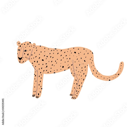 Funny leopard isolated on white background. Hand drawn cute wild cat. Fun spotted animal. Trendy design for print. Stock vector illustration.